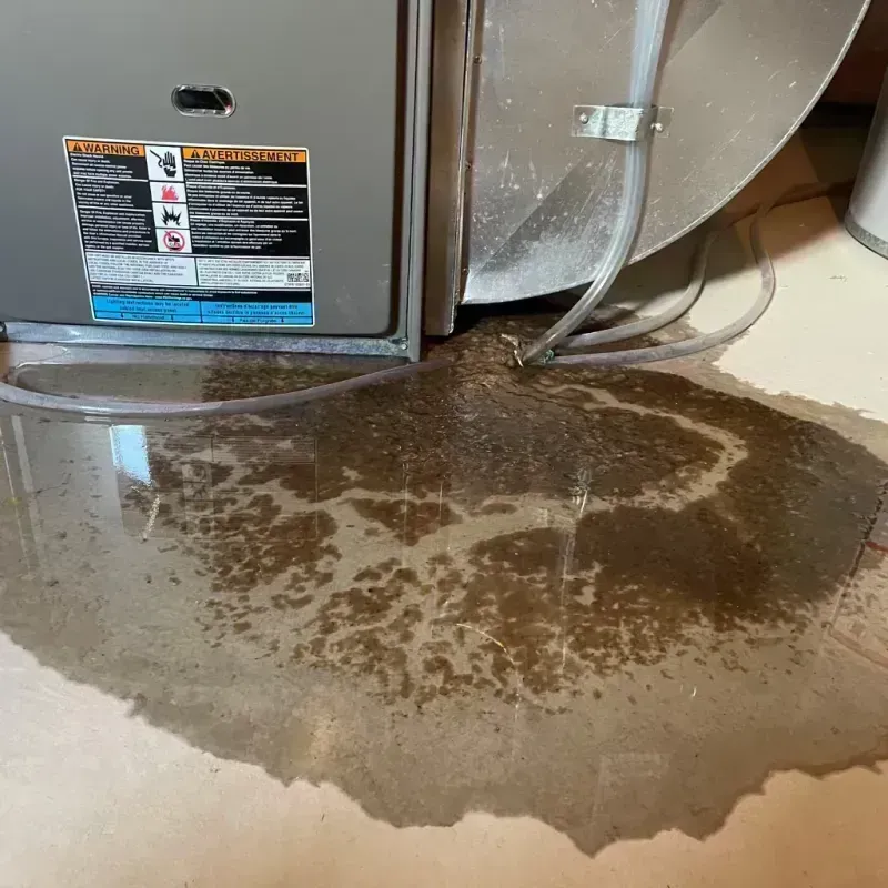 Appliance Leak Cleanup in Collinsville, TX